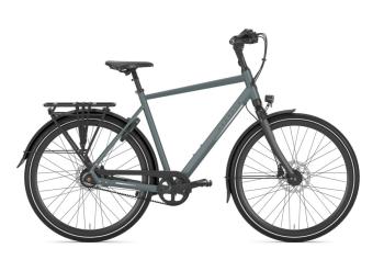 GAZELLE Chamonix S8, grey